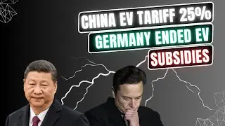 Navigating the Electric Vehicle Market: Trade Policies and Subsidies
