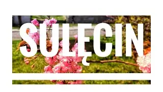 ВЕСНА В СУЛЕНЦИНЕ | Sulęcin | Суленчин