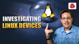 Новый курс! Изучение устройств Linux