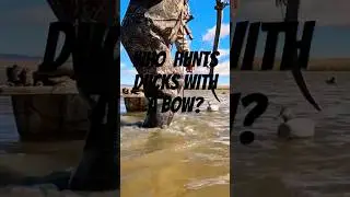 Who Shoots Ducks With A Bow? #archery #traditionalarchery #duckhunting