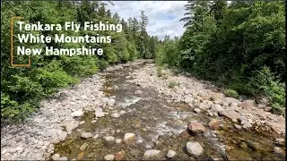 Tenkara Dry Fly Fishing - Native Brook Trout & Wild Rainbows. The Peabody River: White Mountains, NH