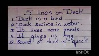 5 lines on duck in english/short essay on duck.