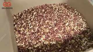 Continuous Cashew Roasting Machine, Peanut Roaster Machine