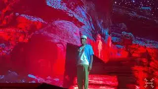 Tyler The Creator - She/ Tron Cat/ Yonkers Medley @Coachella 2024 Weekend 1