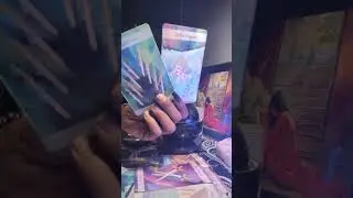 Это предательство было ужасным💔Там драки, споры, все друг друга перебивают! Им всем заплатили.