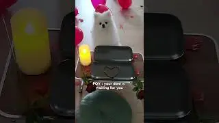 My Dog is Waiting with Love: A Special Valentine's Day ❤️