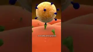 How Does a Virus Spread? 🦠 | #shorts #shortvideo