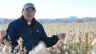 Field to Film: Featured Research | Dr. Chen Talks Soybean Breeding in Arkansas