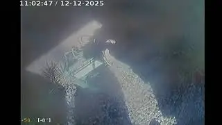2025 12 12 10 50 45