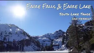 South Lake Tahoe in Winter: Dog-friendly hike