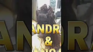 kothapet,Near victoria memorial metro station pillar no 1615 All kinds of hair services #hairpatch