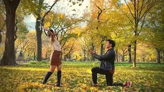 NYC Central Park Fall Proposal