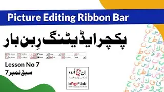 How to Use Picture Editing Ribbon Bar