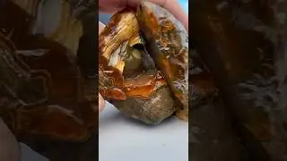 I ❤️cutting Thundereggs! #cuttingrocks #rockhounding