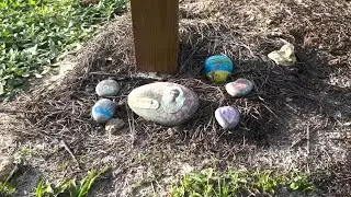 Wellington mother turns grief into healing with 'wind phone' at local preserve