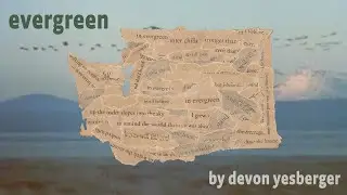 Evergreen | Devon Yesberger