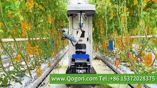 Hangzhou Qogori Tech Co., Ltd. (K2 Tech)