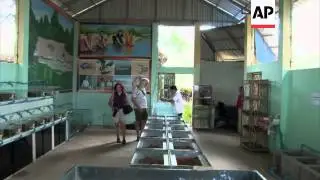 Monks lead by example to promote turtle conservation