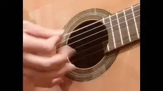 Andantino in G - Ferdinando Carulli - Fingerpicking Technique - Amir Karimi