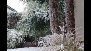 Analiza temperatur w osłonach palm przy -10’C