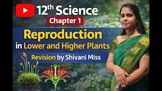 12th science chapter 1 (part1)