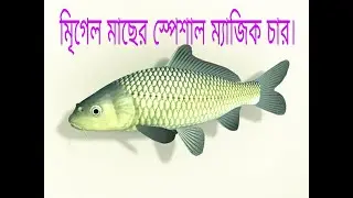 Special magic char for mrigel fish.How to make mrigel fishing bait /char in easy way.