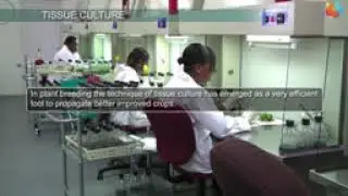 Plant tissue culture Techniques and Methods.