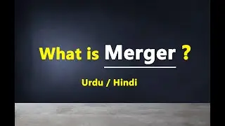 What is Merger With Example || Urdu / Hindi