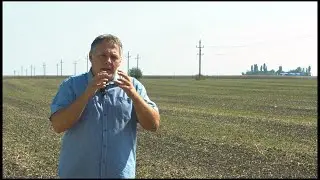Cleranda&reg; - čist usev uljane repice u jednom potezu