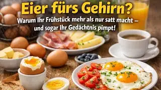 Vom Scrambled zum Superhirn: Wie Eier Ihre Konzentration und Ihr Gedächtnis heimlich boosten