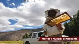 Manual de pr&aacute;cticas ap&iacute;colas
