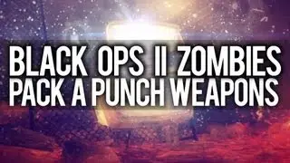 Black Ops 2 | Every Pack a Punch Weapon... (Town Survival)