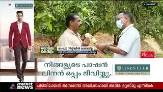 കേരളത്തിന്റെ മാംഗോ സിറ്റിയില്&zwj; മാങ്ങ കിട്ടാനില്ല | Mango City