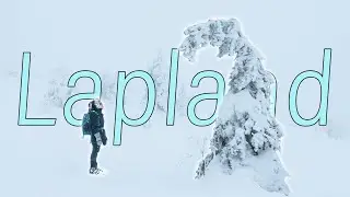 The Quest for the Perfect Winter Tree in Finnish Lapland