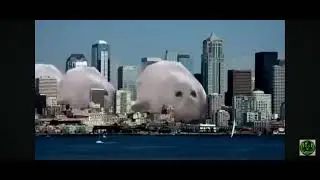 Bouncing Seal(10 MINUTES)