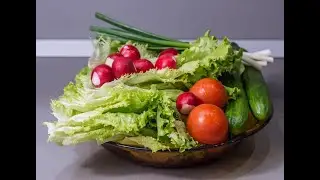 Grow lettuce indoor all year. Never Buy lettuce again.