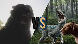 BLUE E NALA VS MOR'DU (Blue vs Nala - parte 2)