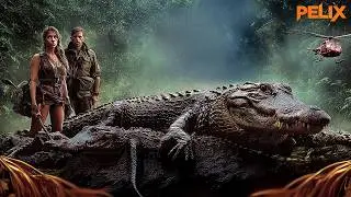 Reina Del Amazonas: Furia A Bordo | Accion | Pelicula Completa En Espanol Latino