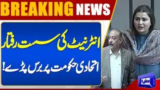 When Will Slow Internet Issue Be Resolved? | PPP Leaders Criticize Government | Dunya News