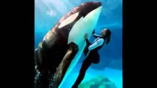 You and Me (Shamu Rocks Studio Version)