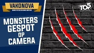 TOP 5 - FOTO'S VAN MONSTERS! - Vakonova
