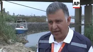 Investigation into cause of mass fish death