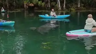 6th Annual Toys for Tots Collection and Paddle - 7 Dec 2025