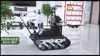 High Quality Pick-and-place Robot Chassis Manufacturing customize Machinery Industry Picking Robots