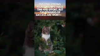 Purr-fecting Your Success Mindset No.52 #shorts   #success   #cats   #cat   #ilovecats