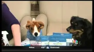 Dr. Catsby&rsquo;s Bowls on South Bend Indiana with Pet Lifestyle Expert, Stephanie Krol