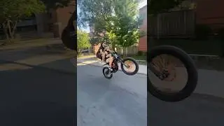 Tandem Wheelies 😭🤣🔥🔥🔥#shorts #tandem #bikelife #surron #lightbeex #surronwheelie #youtubeshort