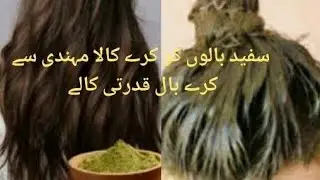 Natural Hair dye for Grey Hair|Grey Hair coverage|Cover Grey Hair Naturally|50 years old tricks