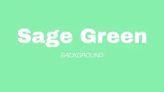 4K Soft Sage Green Ambient Background | Calm Aesthetic Mood