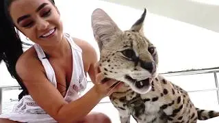 LV Interviews Stryker The Cat!